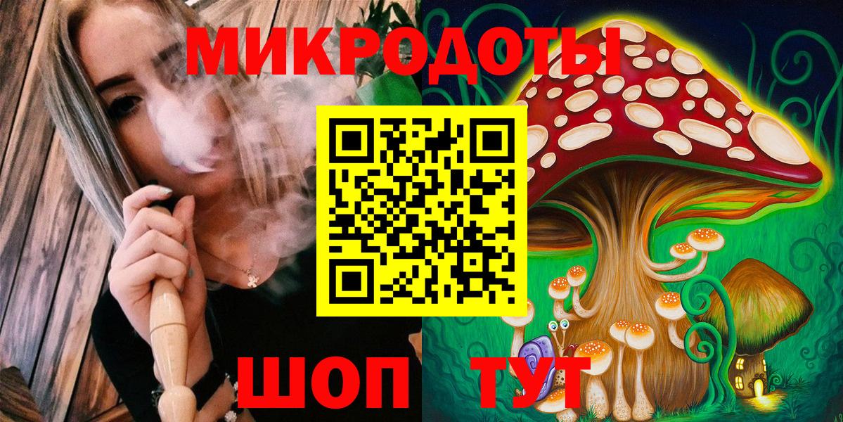 Галлюциногенные грибы Psilocybine cubensis Коркино