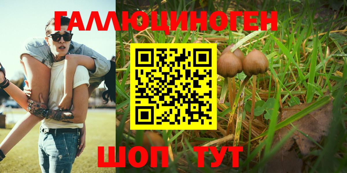 Коркино  Галлюциногенные грибы GOLDEN TEACHER  Вход с VPN  Галлюциногенные грибы Psilocybine cubensis 